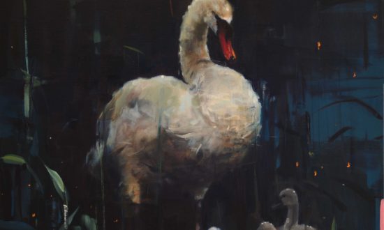 Galerie Terbeek