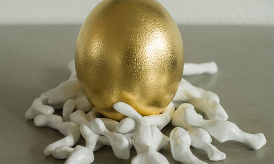 EGG to HUMAN