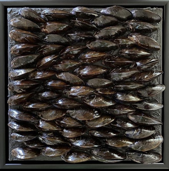 Art by Mira Rio, Zeevruchten  op doek, gesloten zwarte mosselschelpen, diverse compilaties paneel, 30 cm x 30 cm, zwarte baklijst