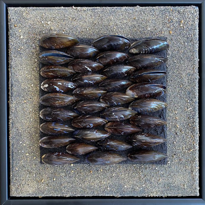 Art by Mira Rio, Zeevruchten  op doek, gesloten zwarte mosselschelpen, diverse compilaties paneel, 30 cm x 30 cm, zwarte baklijst