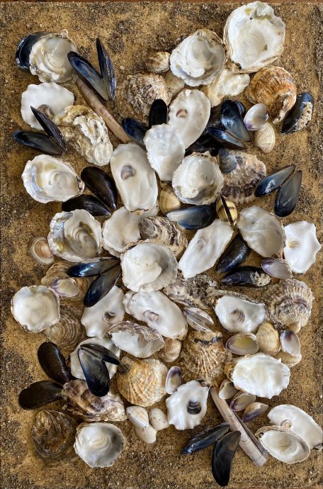 Art by Mira Rio, Zeevruchten op doek, een compilatie van schelpen op zand, paneel van multiplex, 50 cm  x 60 cm